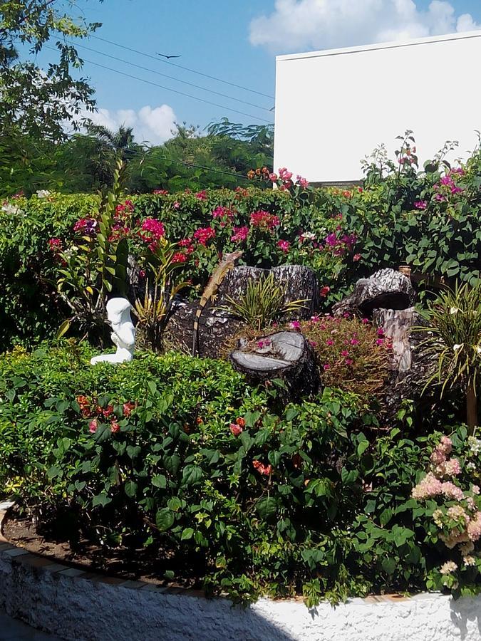 Casa De Los Suenos B&B Coronado Panama Playa Coronado Ngoại thất bức ảnh