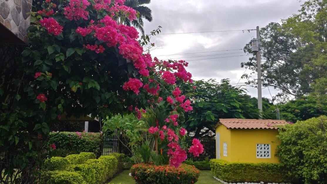 Casa De Los Suenos B&B Coronado Panama Playa Coronado Ngoại thất bức ảnh